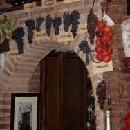 Granada | La Tana | tipos de uva