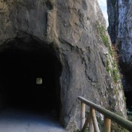Senda del oso túneles Asturias